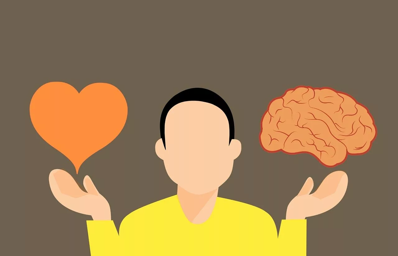 뇌출혈과 뇌졸중의 차이점 증상